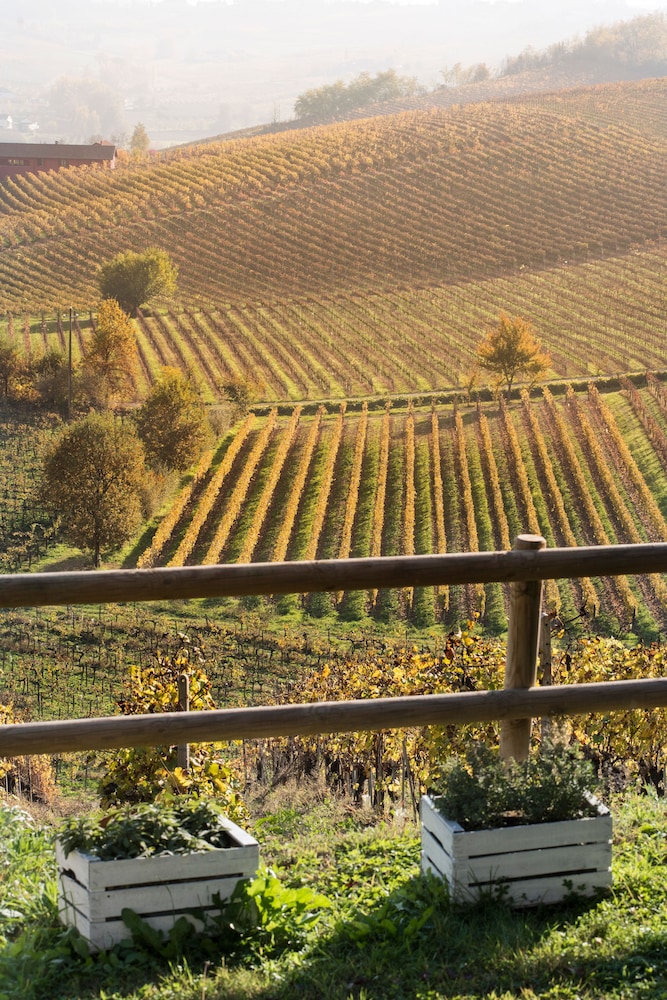 Agriturismo Albarossa