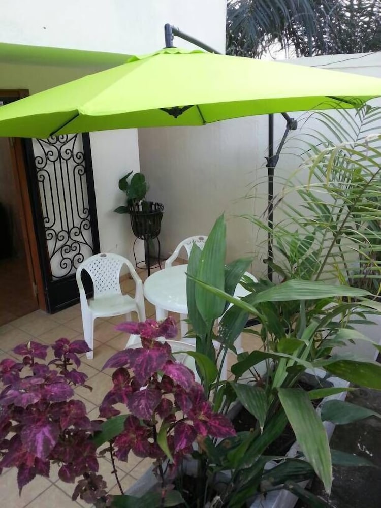 Dans un jardin au centre ville
