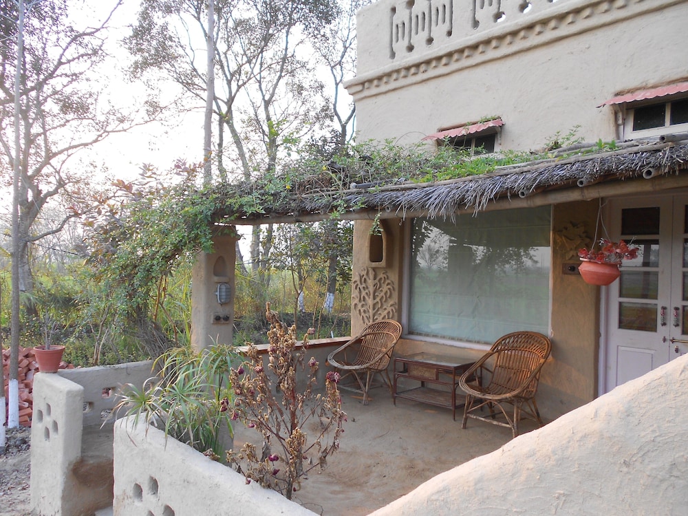 Punjab village farm near Amritsar