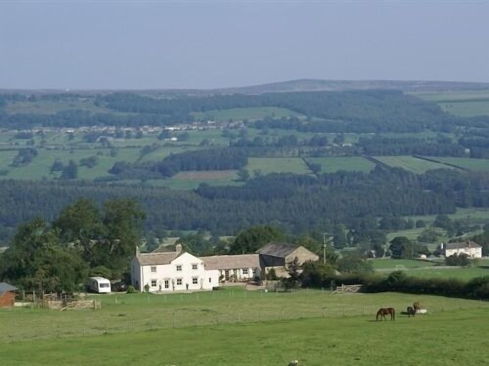 Capple Bank Farm