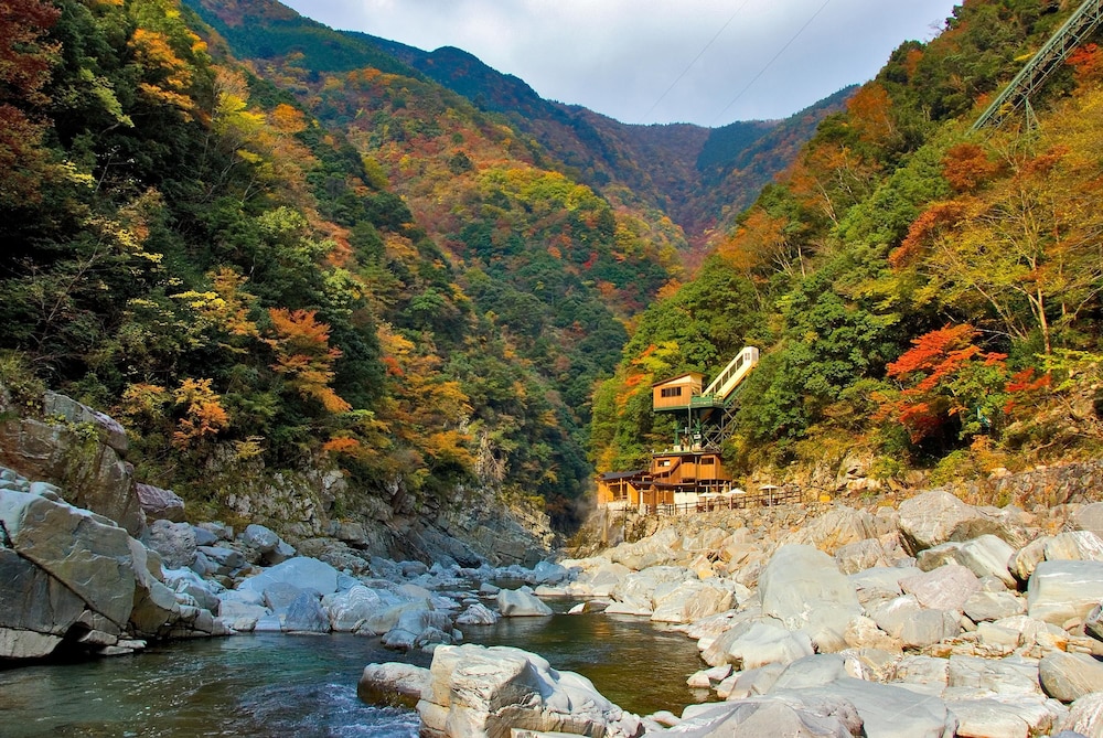 Hotel Iyaonsen