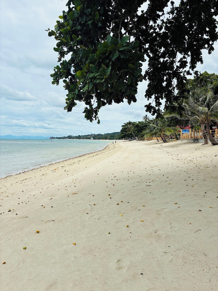 Lamai Beachfront Bungalow Koh-Rooms