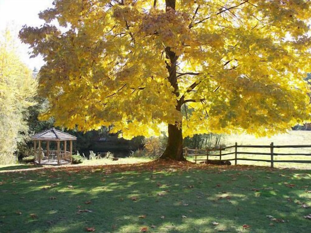 Maple Grove Guest House