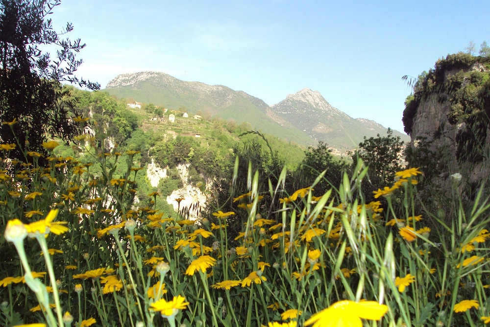 Agriturismo Orrido di Pino