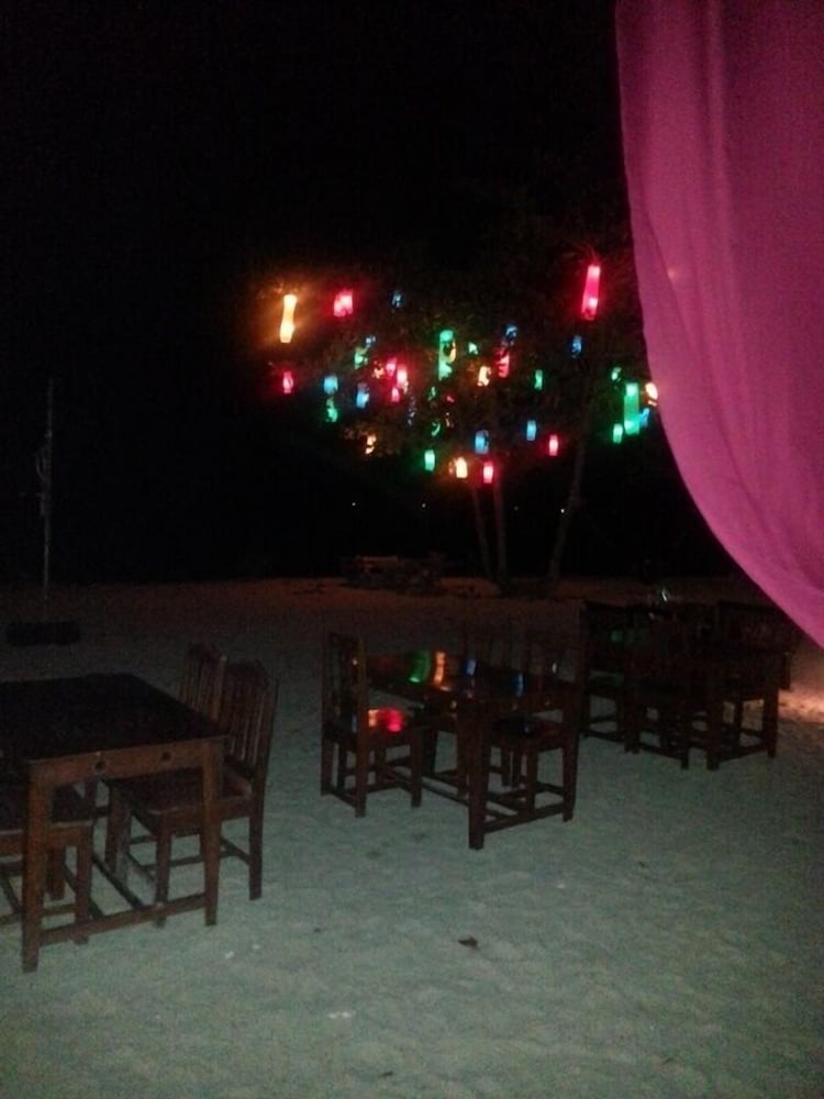 Dancing Elephant Beach Club - Hostel