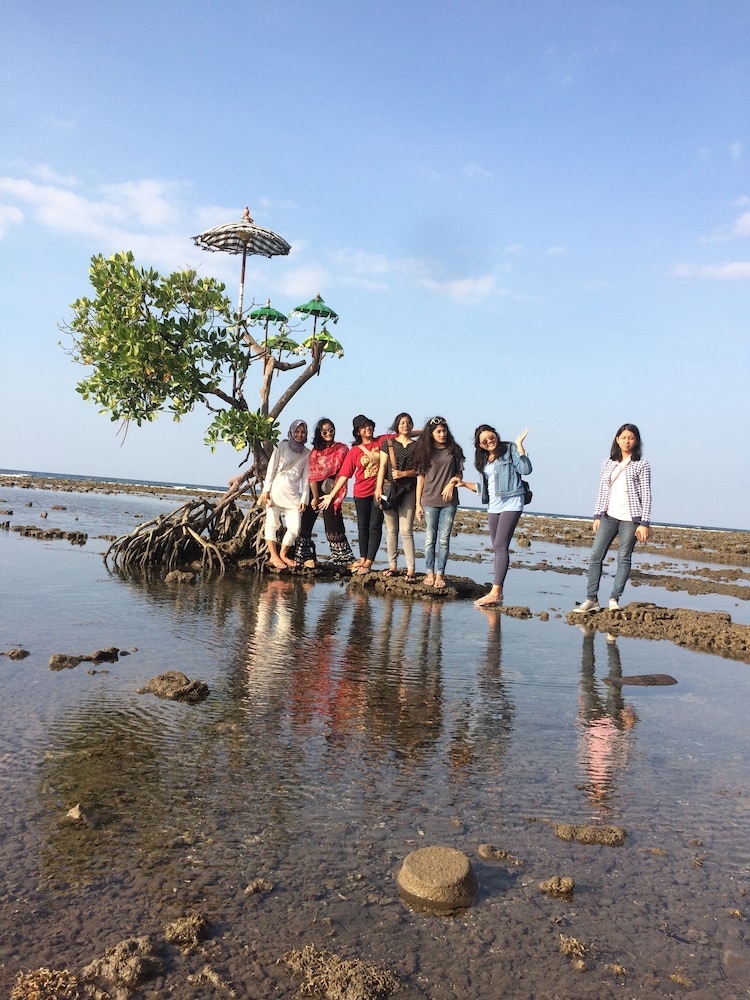 Biorock Homestay