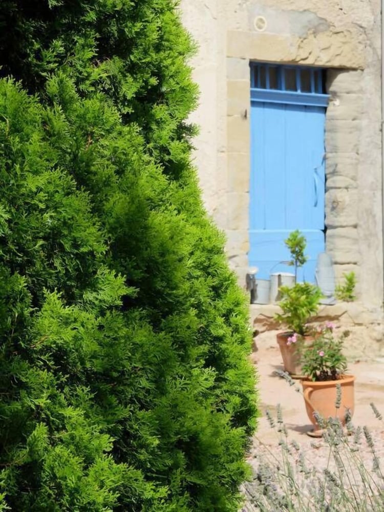 Domaine Saint-Joly