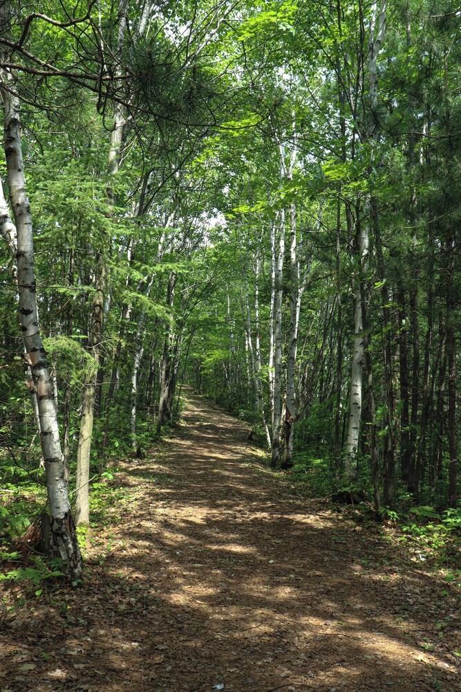 La Bannik