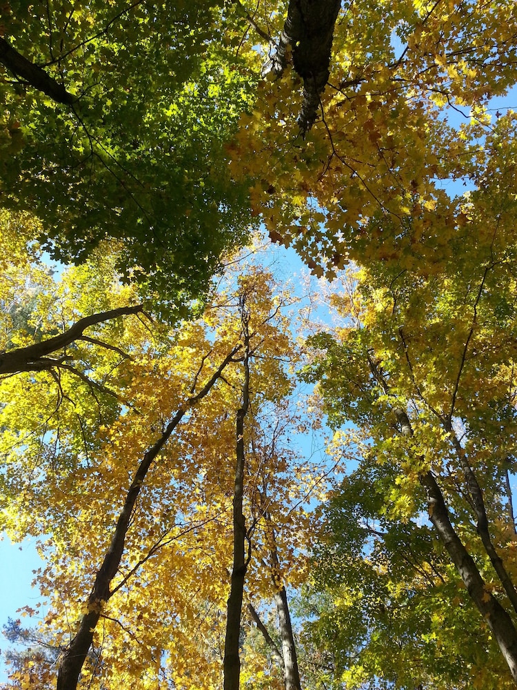 Golden Pathways Retreat and B&B