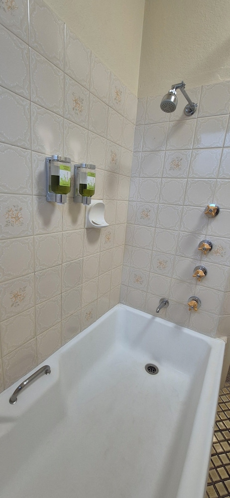 Molong Motor Inn