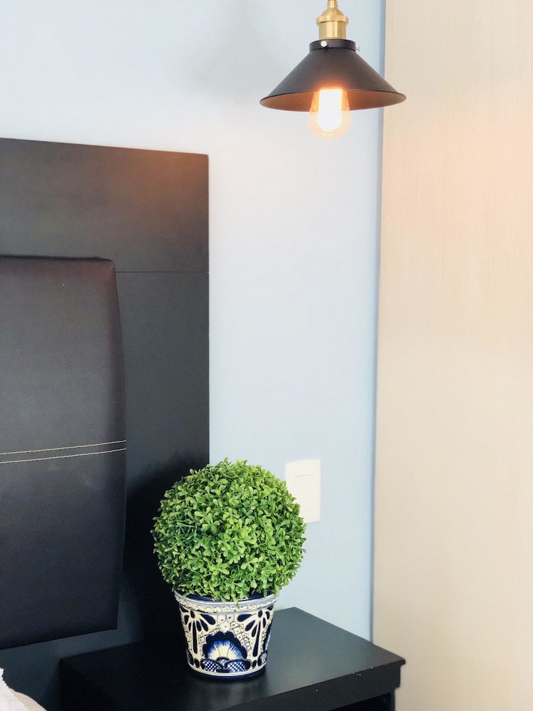 Alameda Downtown Apartment 404