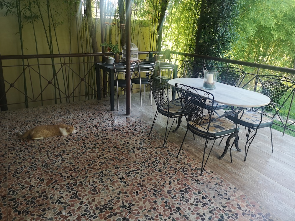 Beautiful 3 Bedroom House in Halkidiki. Relax! view 5