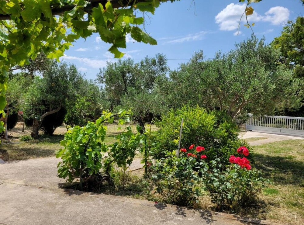 Apartments Filtea