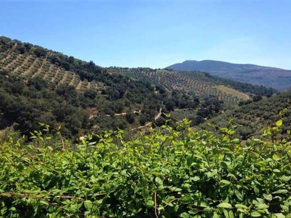 Cottage in Andalucia Near Sierras Subbeticas