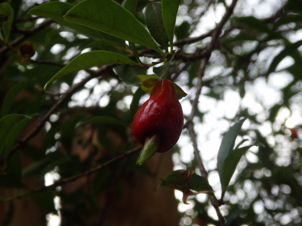 Pousada Ecorsini Aventura
