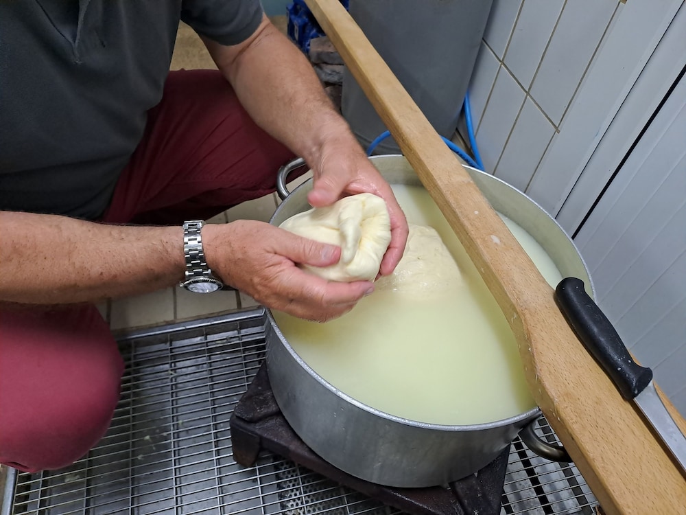 Fattoria Manostalla