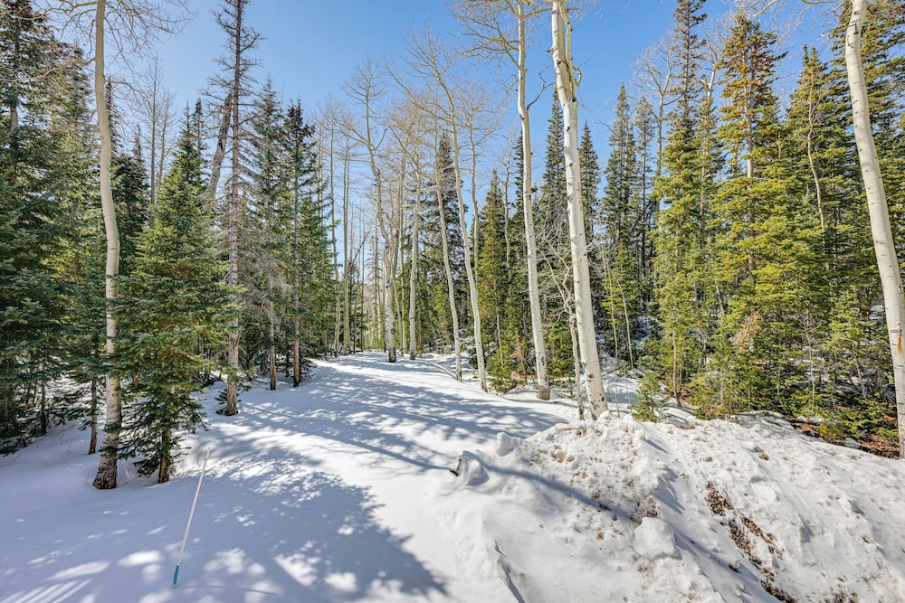 < 1 Mi to Brian Head Resort: Spacious Cabin!