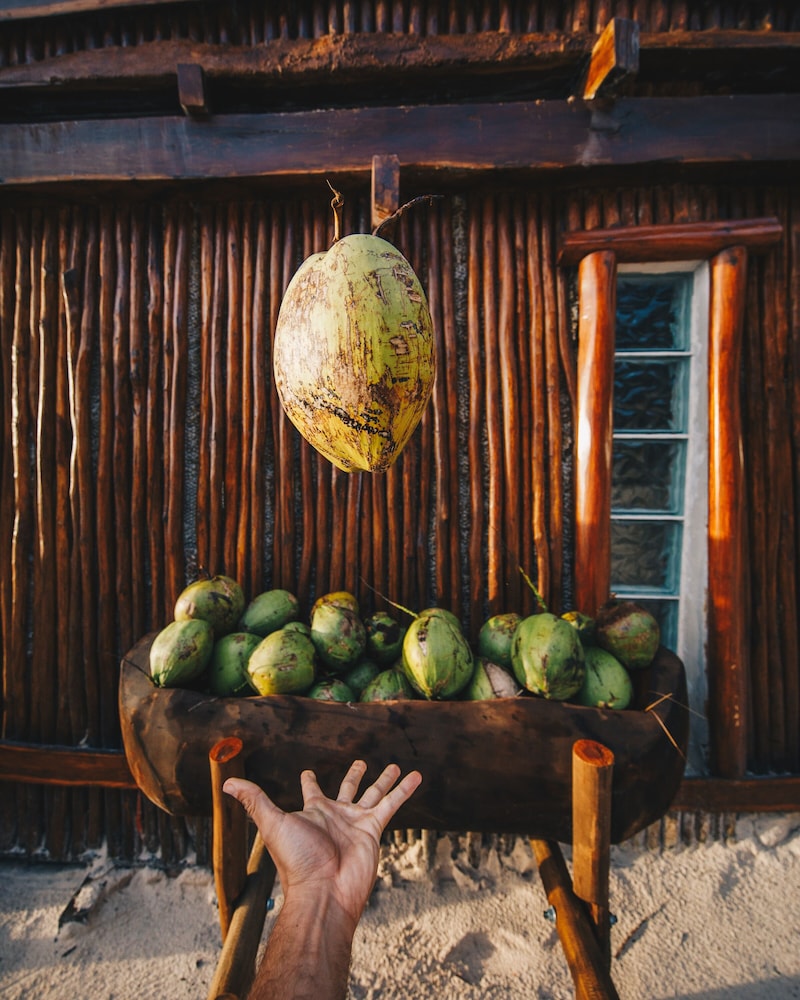 Hotelito Azul - Property Image 66