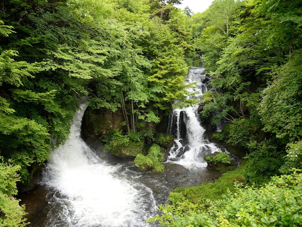 Photo 26