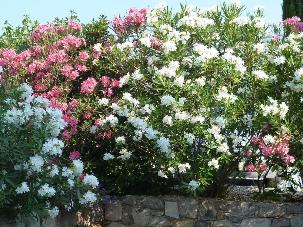 L'escale Provencale