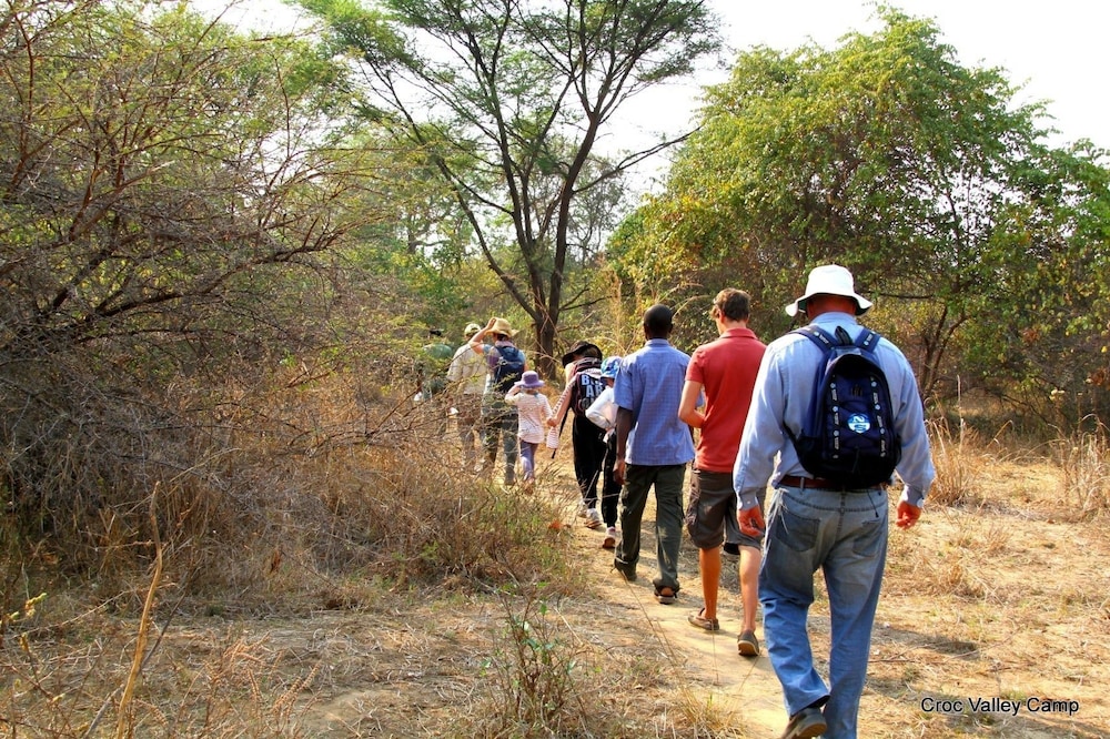 Croc Valley Camp