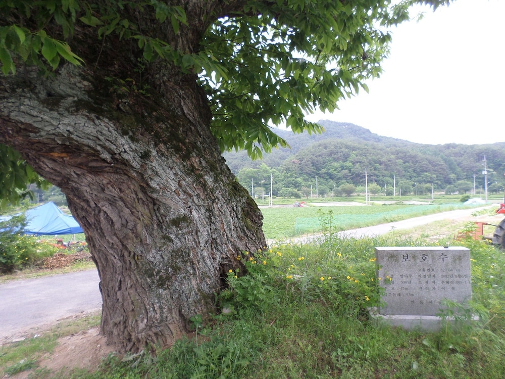 Ongyejongtaek Sambaekdang