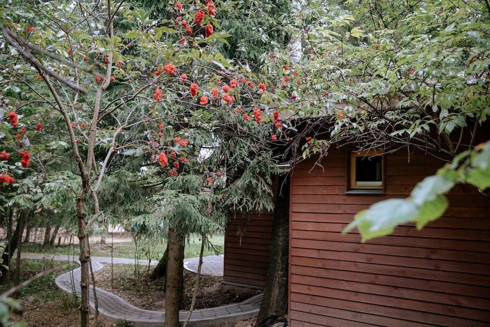 Skokovo Park, photo 160