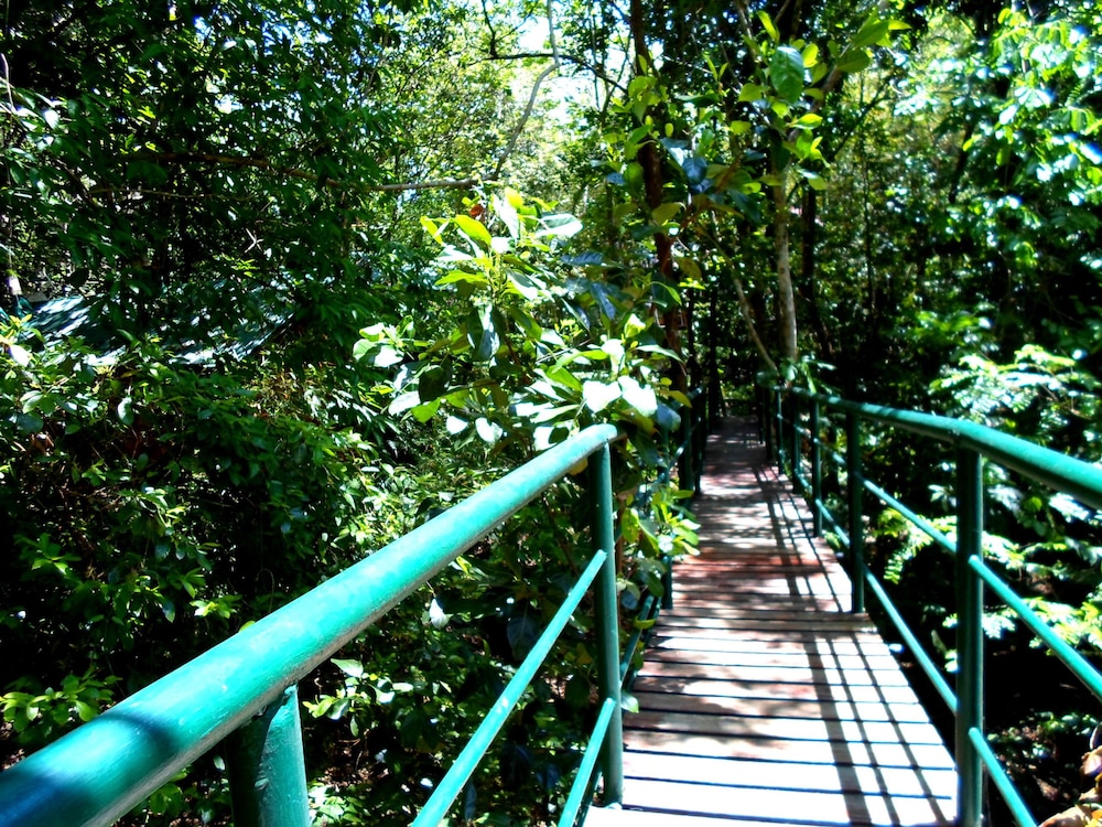 Khao Sok Tree House
