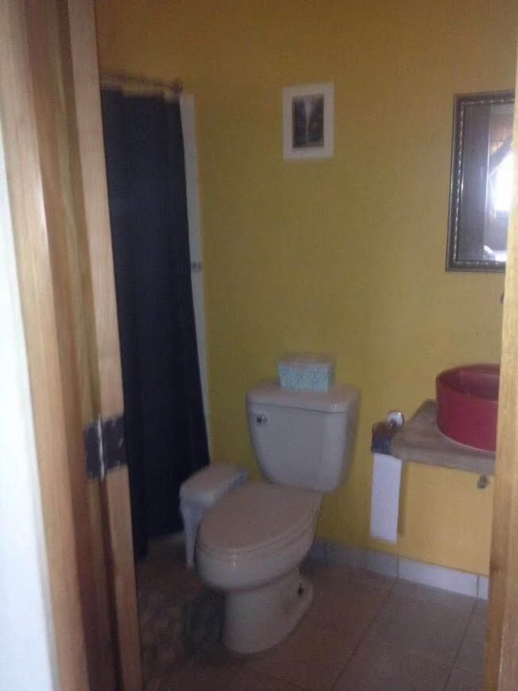 Big Kahuna Surf Camp - Hostel - Property Image 8