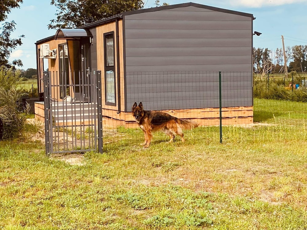 Holiday Home in Nowe Warpno With Garden