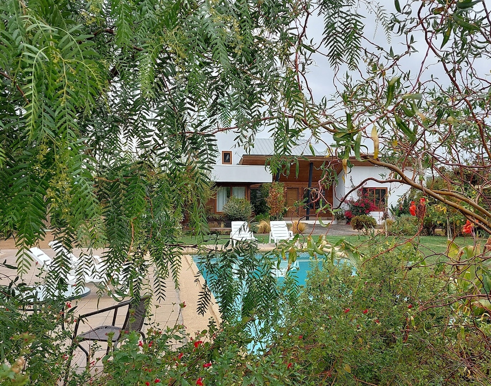Photo 42