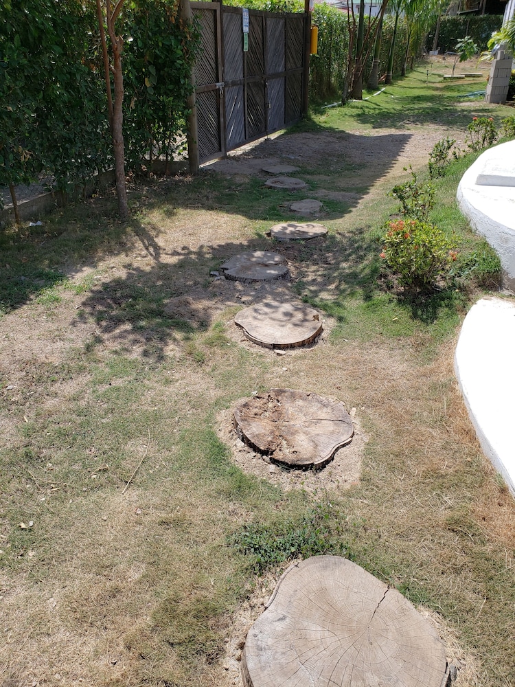 Photo 41