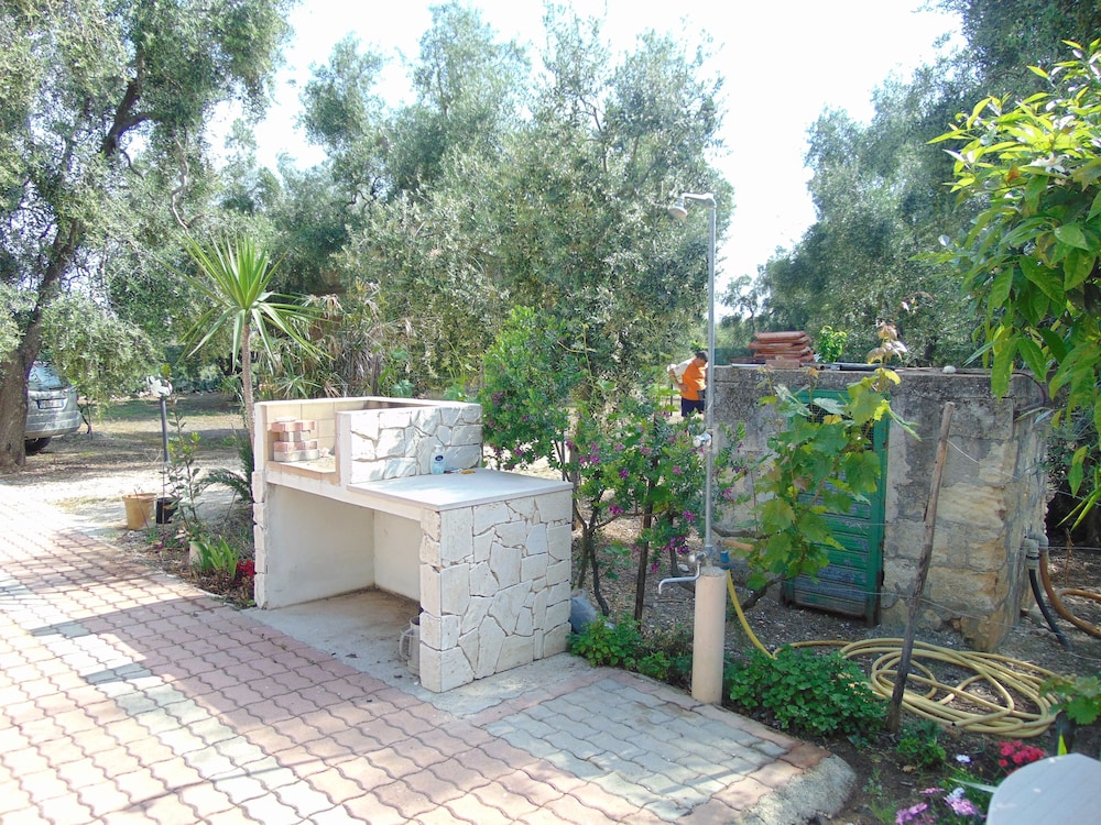 Photo 31