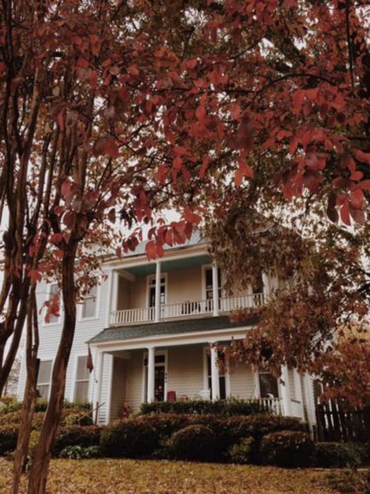 Fig Tree Manor
