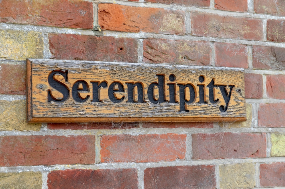 Serendipity