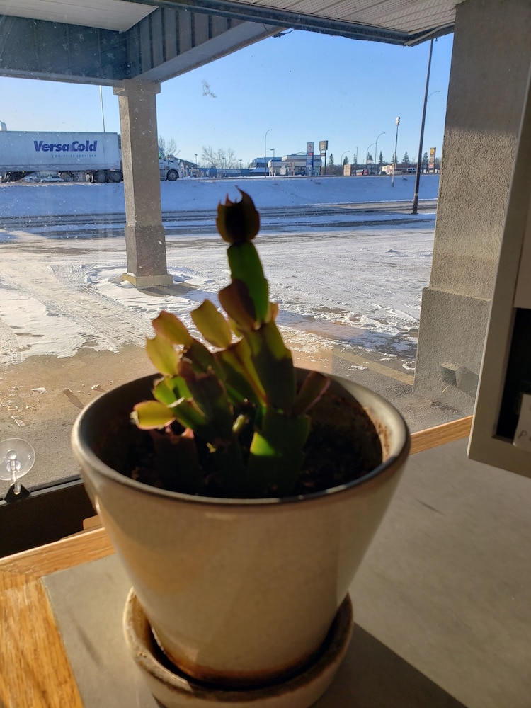 Photo 27