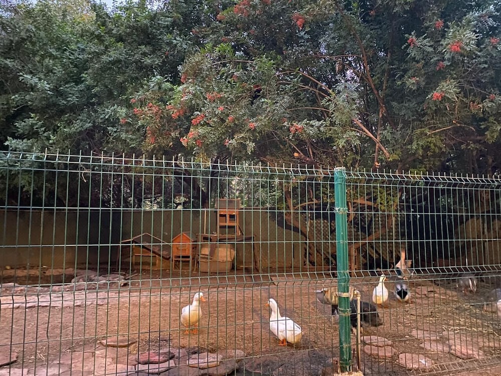 Ensenada Vacations - Rancho San Carlos Aguas Termales - Property Image 148