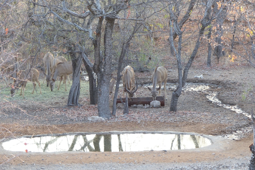 Uukwaluudhi Safari Lodge