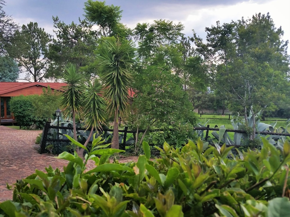 Pine Tree Lodge
