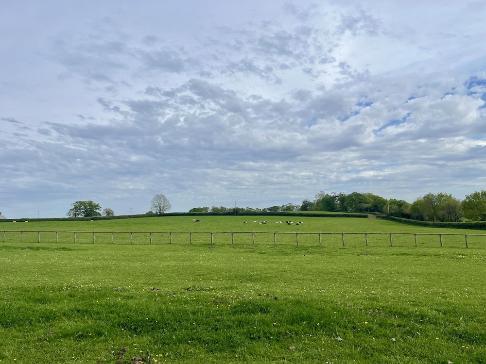 War Horse Valley Orchard View