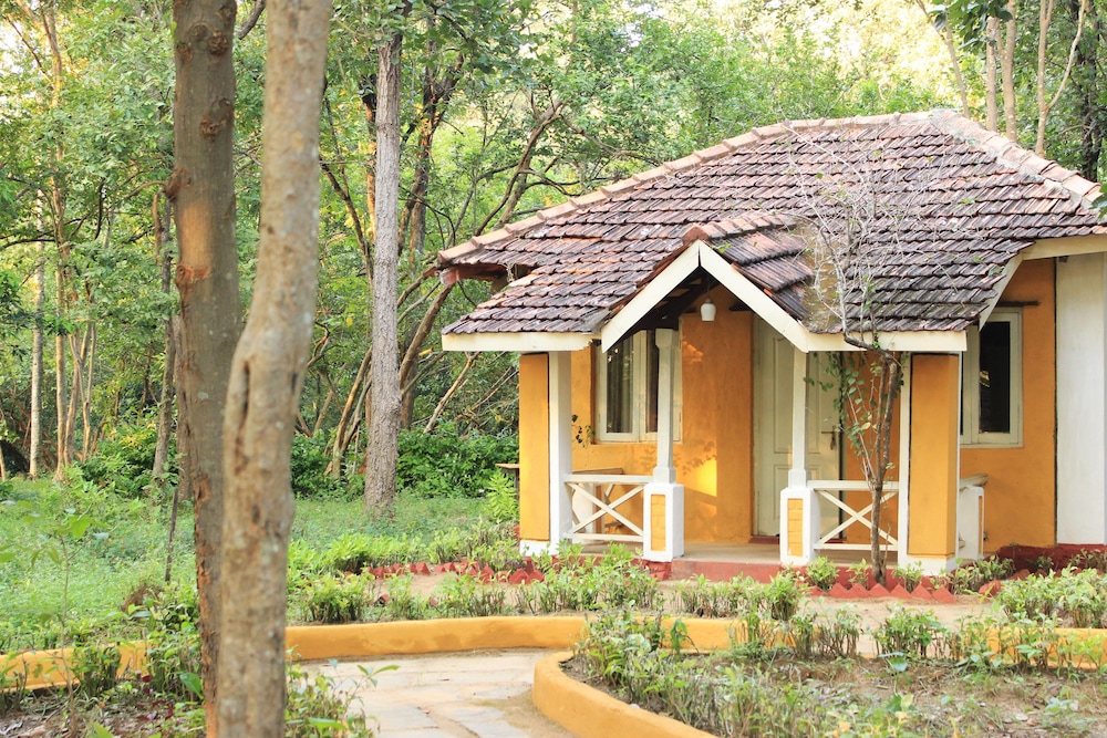 Wild Chalet Resort