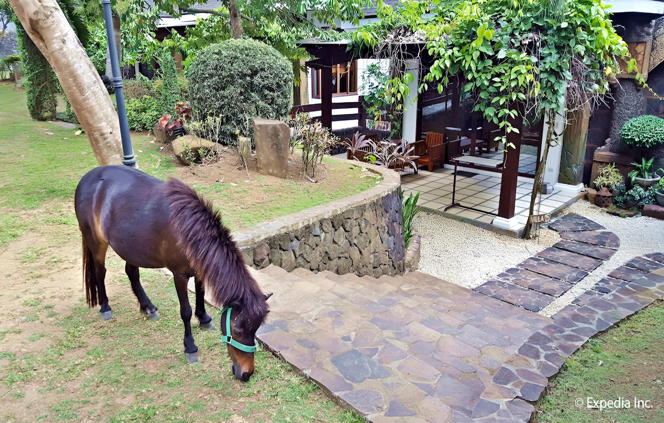 Cintai Coritos Garden, Balete - 9