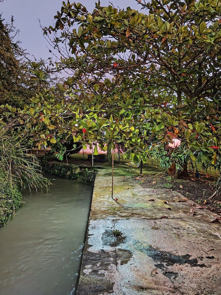 La Guarida