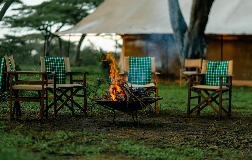 Gnu Ndutu Camp