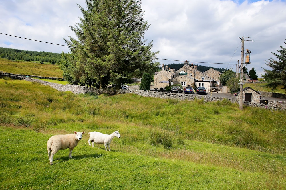 The Pheasant Inn