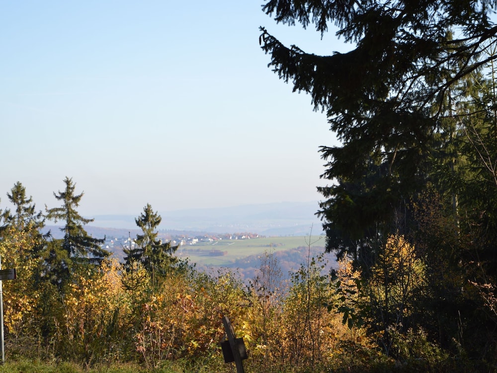 Photo 41