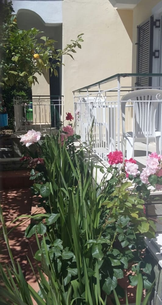 Photo 36