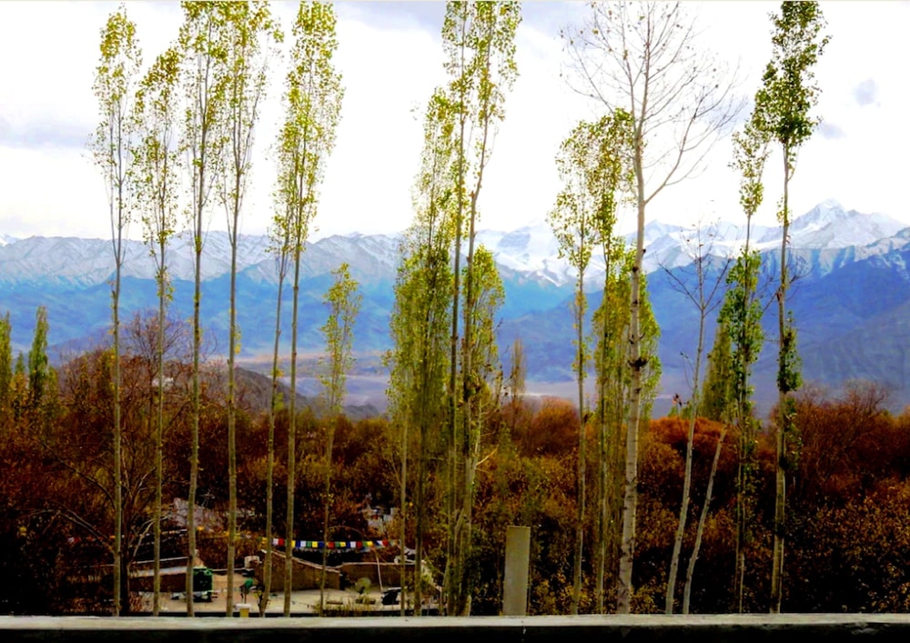 TIH Rahela Guest House & Home Stay