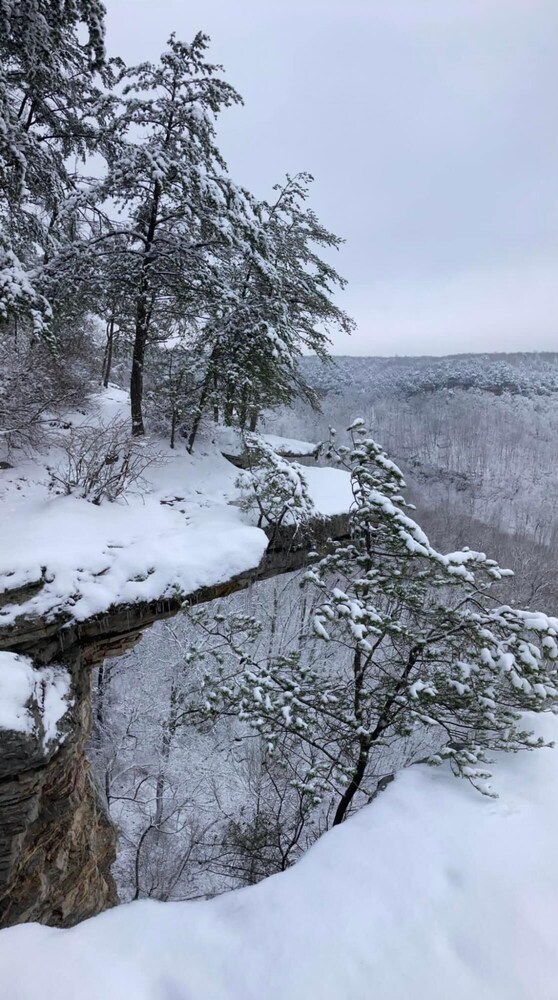Greeter Falls Lodge Suite 5 - Property Image 11