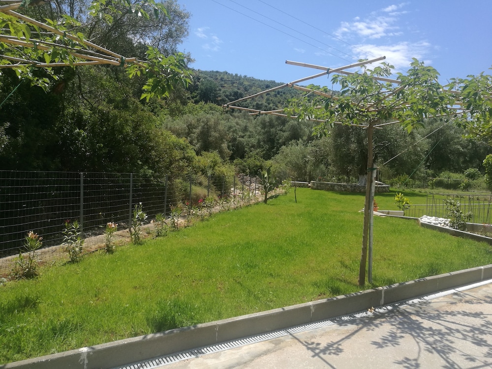 Photo 23